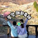 하동역 | 광양매화축제 광양매화마을 첫날 오픈런 후기 주차팁/행사 일정 / 포토존