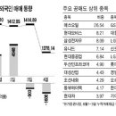 (주식)외국인 공매도 많은 종목 일제히 급락 이미지