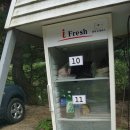 엄둔솔밭빌리지 | [강원도영월/주천엄둔계곡]솔밭빌리지에서 시원한 물놀이를~