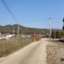 유영자농장 이미지