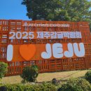 국제2농장 | 제주체험 및 관람 추천/감귤따기체험/실제 제주감귤축제 다녀온 실제후기 : 2025 제주국제감귤박람회