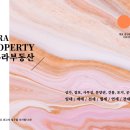 아우라공인중개사사무소 이미지