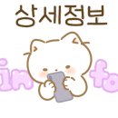 비니펫 이미지