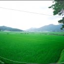 득량농협주유소 이미지