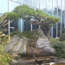 정원식당 앞 이미지