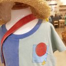 네동세