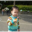 봉글봉글 이미지