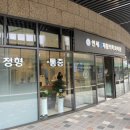 엄정형외과의원 이미지