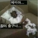 봉미네 이미지