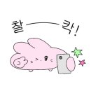 올라래쉬