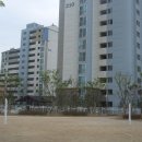 성곡초등학교4 이미지