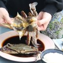 주식회사더꽃게 이미지