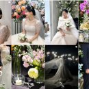 나우피드 이미지