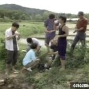 원식목장 이미지