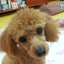 산곡동천주교회 이미지