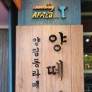 어메이징아프리카