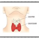 머슬팩토리24 이미지