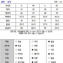 미즈미