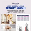 포러스트 | [포러스트 동에등애 곤충사료] 일주일 급여후기