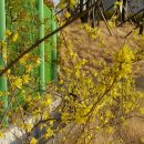 오륙도중학교 이미지