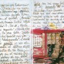 송진목장 이미지