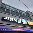 서핑하닭