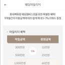 조이멤버스