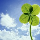 고운선율피아노 이미지