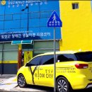 황룡강 꽃길 이미지