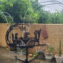 신제일의원 이미지