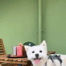 레이즈어라운드 이미지