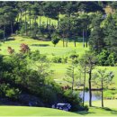 그린막국수 이미지