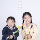 사파리사진관청주점 이미지