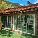 진전면900 이미지