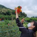 연제구-053 이미지