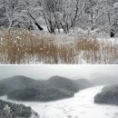 호수와바다 Daum카페