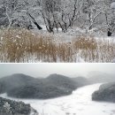 군산, 도시 한복판에서 호수와 바다를 본다/월명공원 이미지