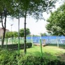 대명리조트스포츠센터 이미지