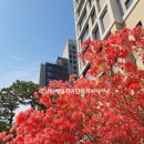 경남원베일리공인중개사사무소 이미지