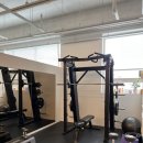 루다피티 이미지