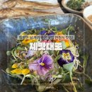 명산리 | 부산 근교여행 맛집 제맛대로 꽃밥 한정식 후기
