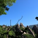 국립미천골자연휴양림 이미지