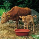 울산축산농협 TMF 사료공장 이미지