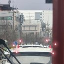 희와나 이미지