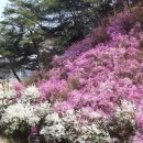 금산의집