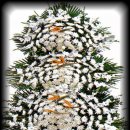 수원-0855 이미지