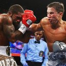 GGG 복싱 이미지