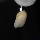 나온치과기공소 이미지