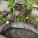 청웅밥상 | 여름에서 가을로 넘어가는무렵의 일상들