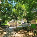 대구대동시장 이미지